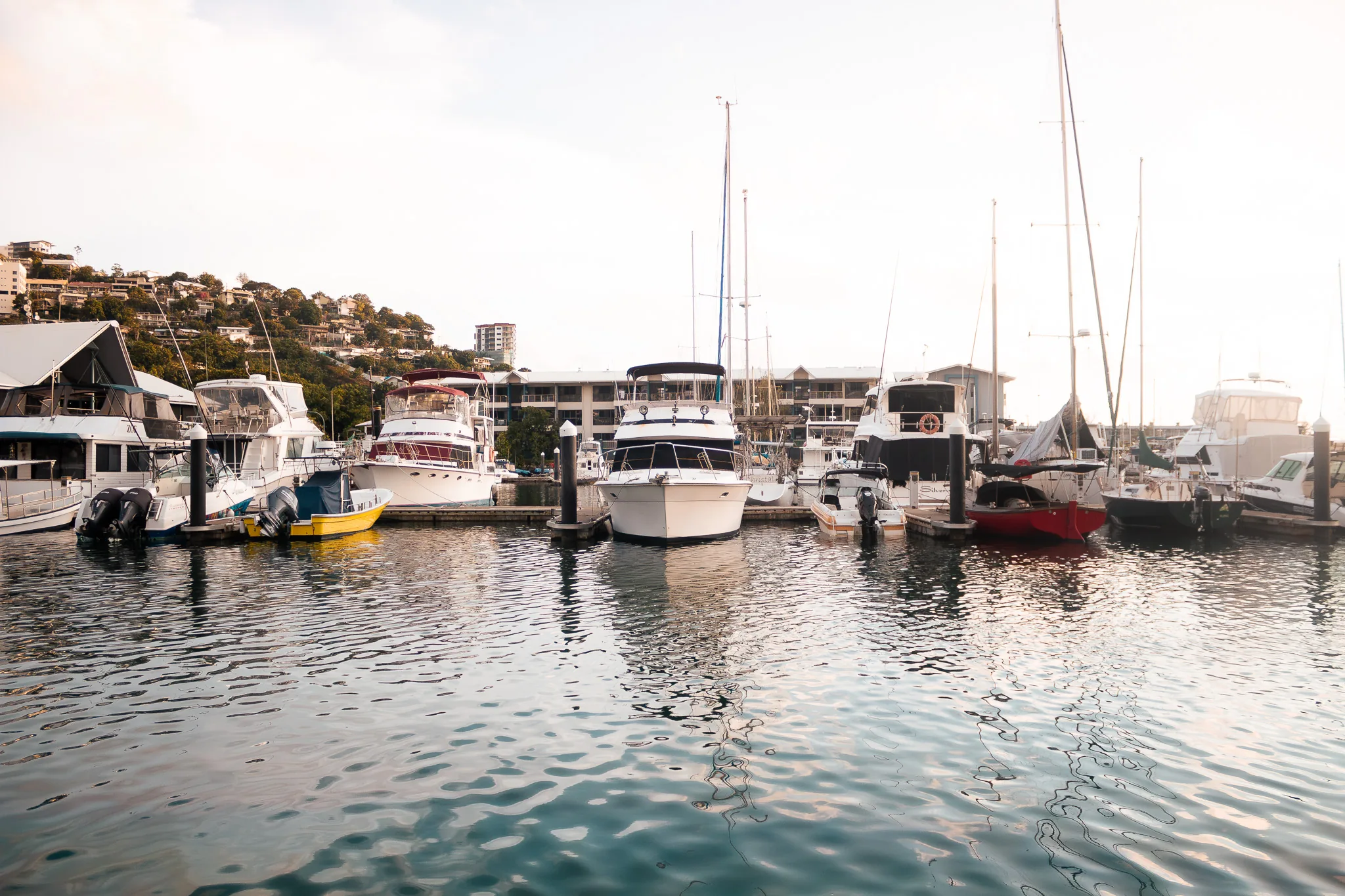 Boats moored at a marina in daylight